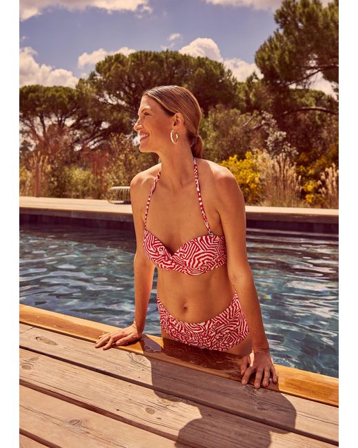 Phase Eight Multicolor Isabelle Zebra Bikni Brief