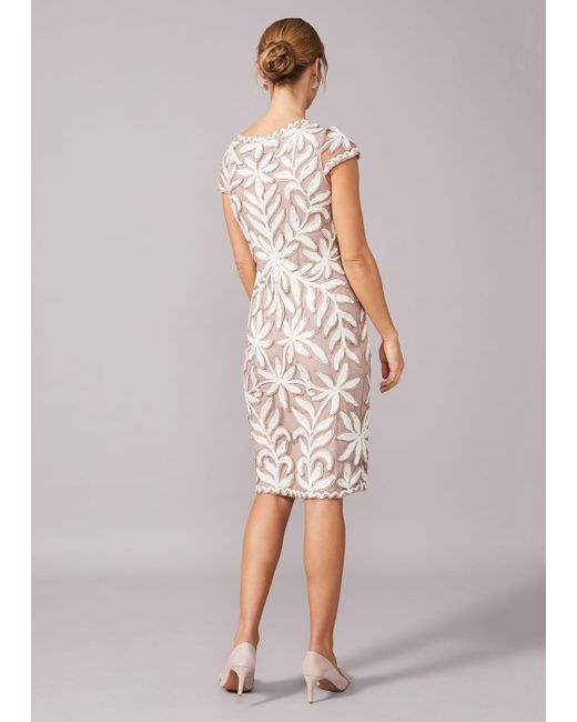 Isobel Tapework Lace Fitted Dress | Lyst UK