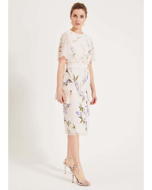 phase eight eden floral dress