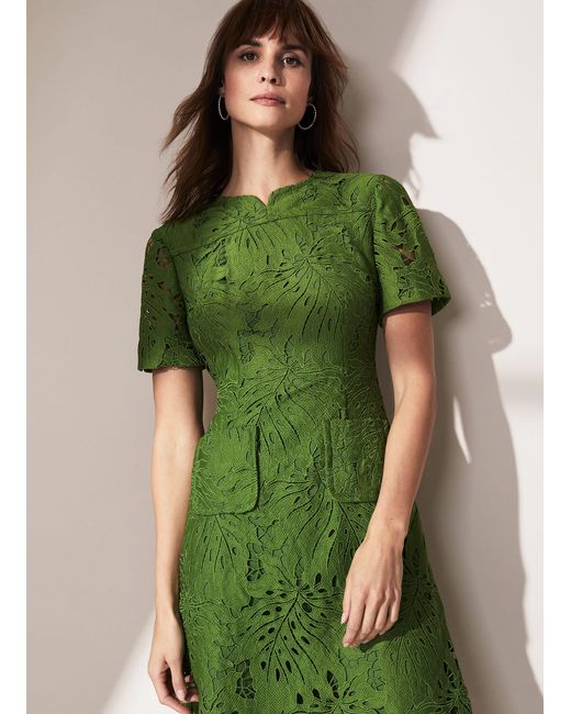 Phase Eight Green Yazi Palm Lace Dress