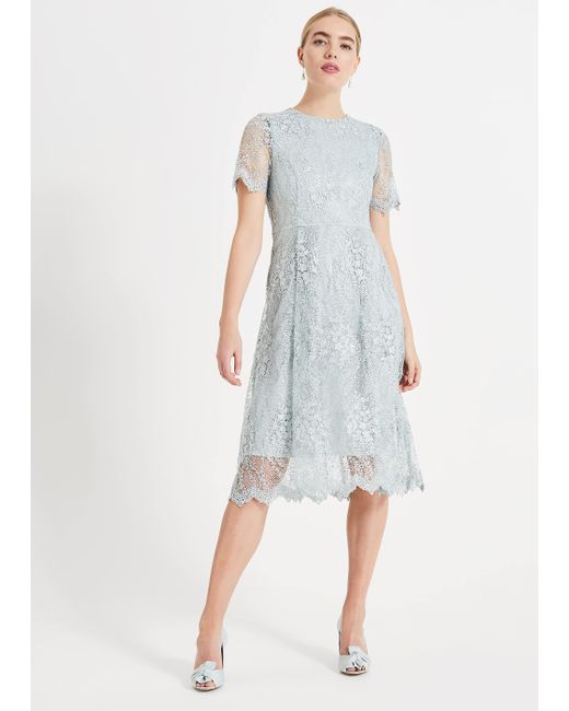 phase eight janessa dress