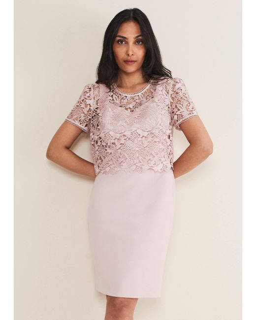 Phase Eight 's Petite Isabella Lace Midi Dress in Pink