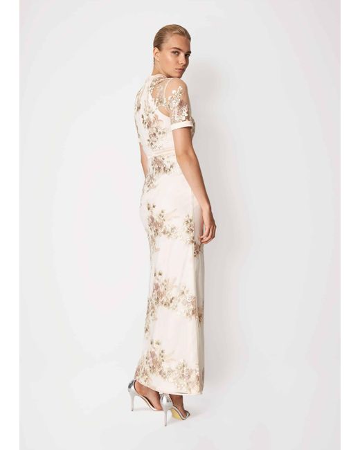 phase eight yasmin dress