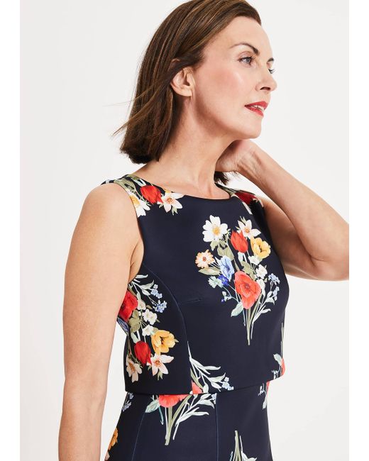 phase eight carolina dress