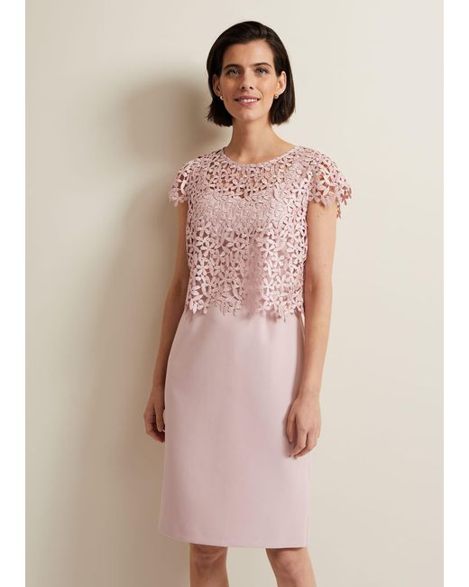 Phase Eight Pink 's Daisy Lace Midi Dress