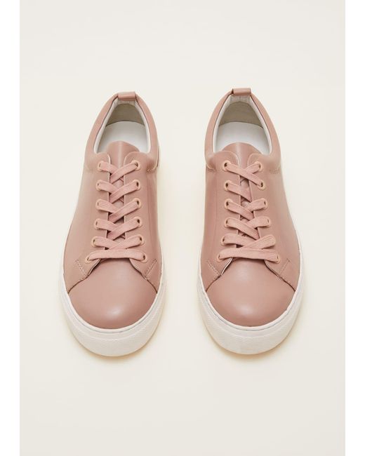 Phase Eight Natural Platform Trainers