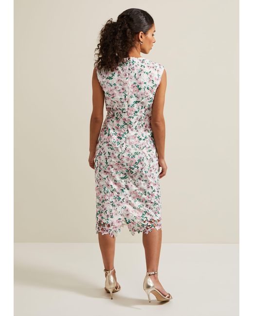 Phase Eight White Petite Diana Floral Lace Midi Dress