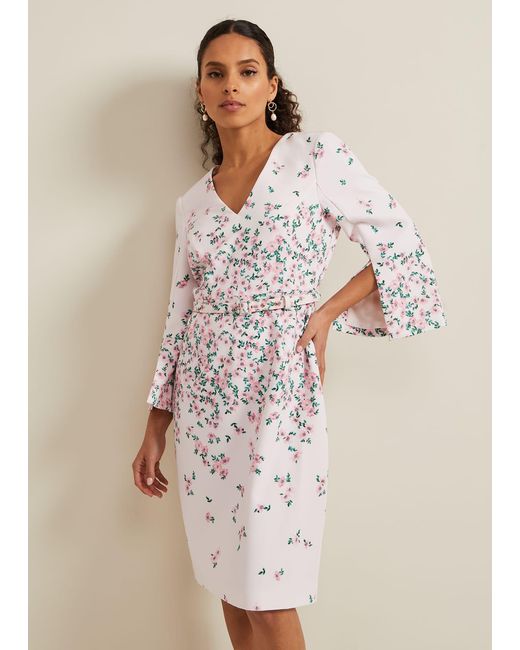 Phase Eight Natural Petite Giovanna Floral Belted Dress