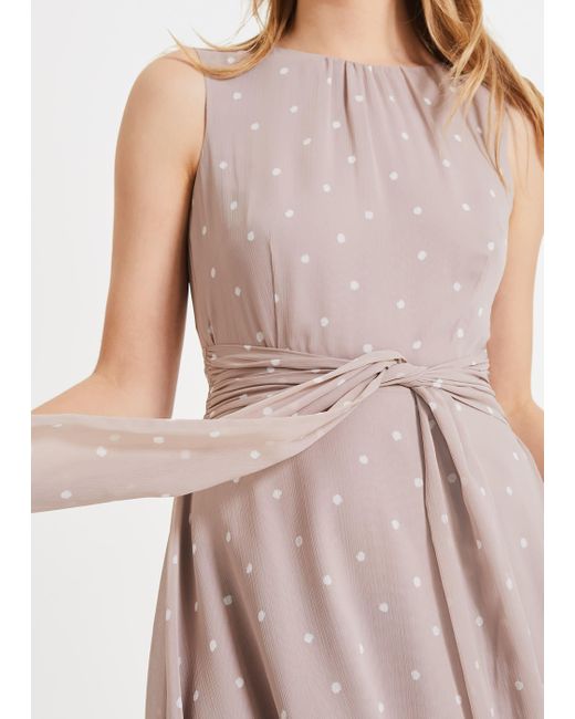 phase eight polly spot dress