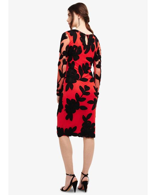 Phase Eight Red Daisy Tapework Lace Dress