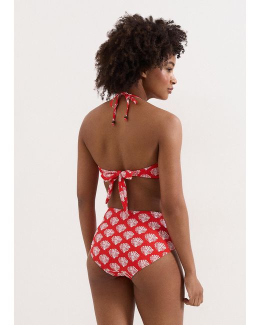Phase Eight Red Shell Print Bikini Top