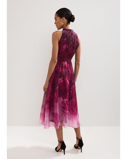 Phase Eight Pink Bethany Floral Print Dress