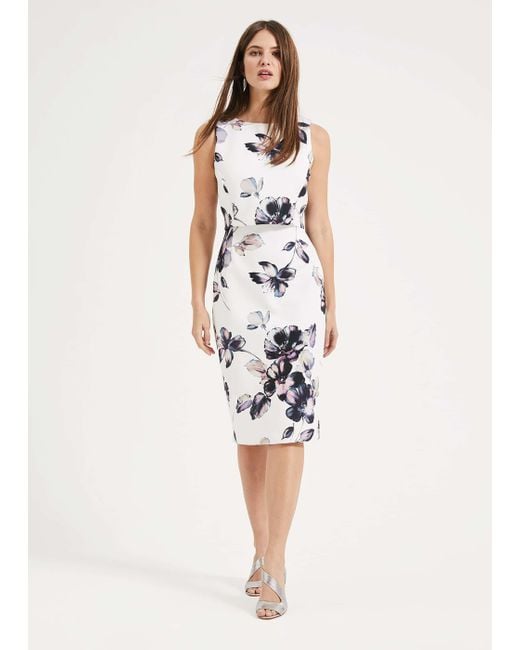Phase Eight Dahlia Dress Flash Sales, 52% OFF | www.rupit.com