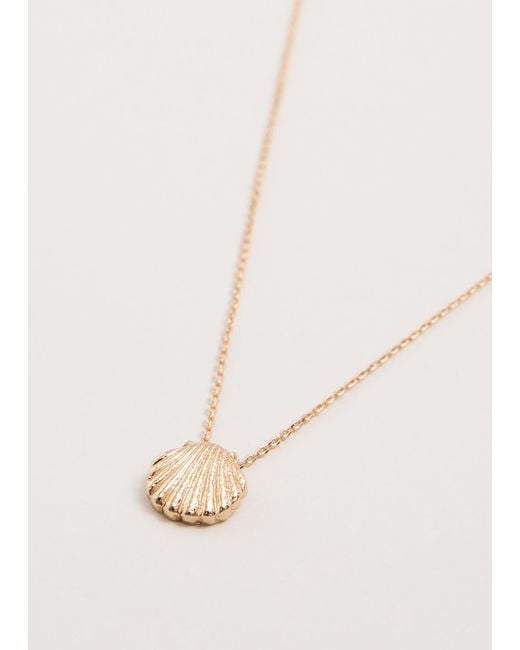 Phase Eight Natural Shell Necklace