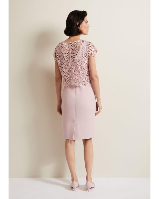 Phase Eight Natural Daisy Lace Midi Drss