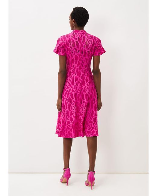 Phase Eight Pink Lulu Lace Midi Dress