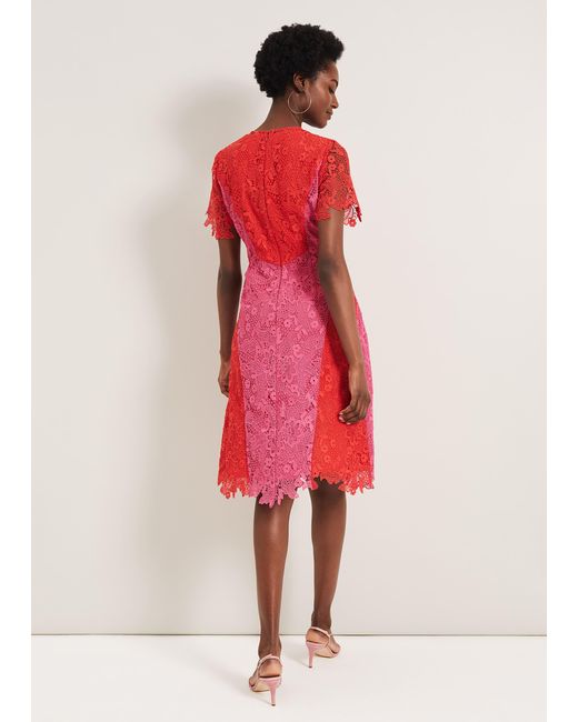 Phase Eight Pink Adona Lace Dress