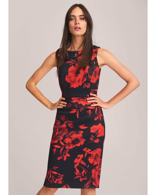 Phase Eight Red 's Rose Double Layer Scuba Dress