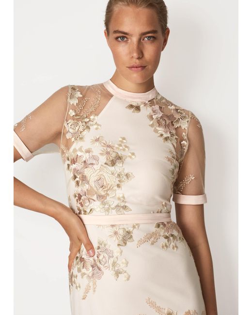 phase eight yasmin dress