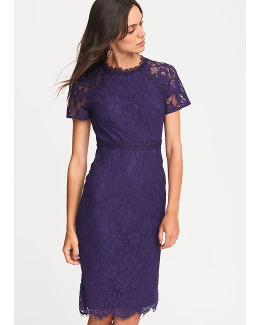 phase eight janette lace dress
