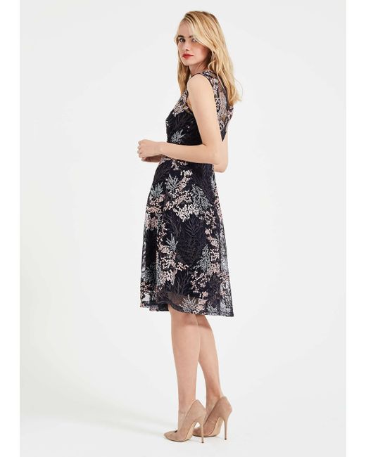 phase eight maddie fit and flare dress