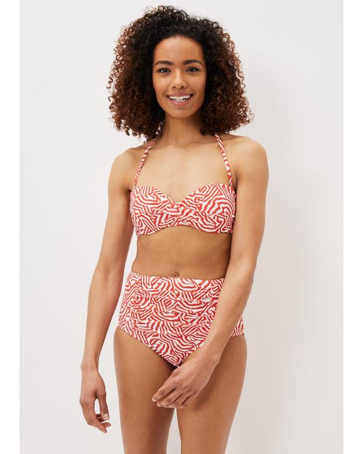 Phase Eight Multicolor Isabelle Zebra Bikini Top