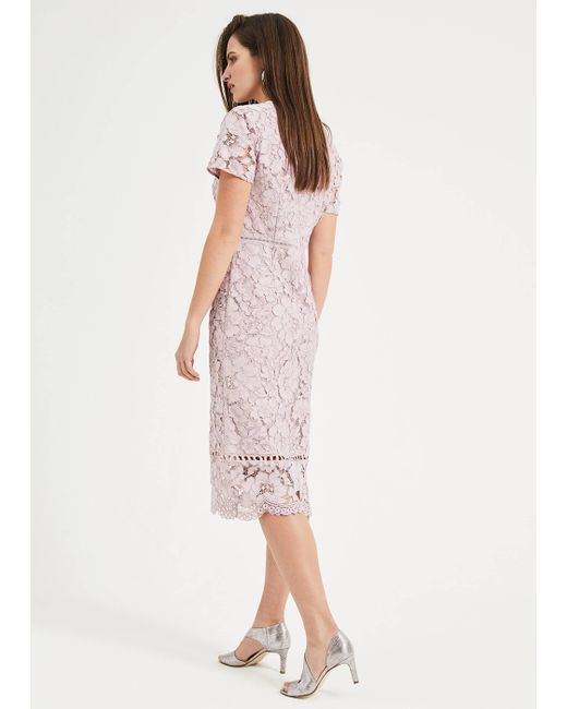 Phase Eight Harmony Lace Dress Shop, 53% OFF | www.rupit.com