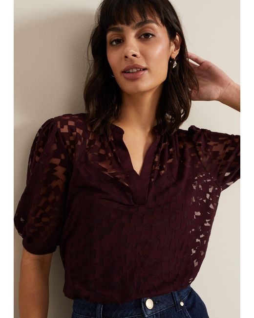 Phase Eight Brown Cleo Checkered Burnout Top