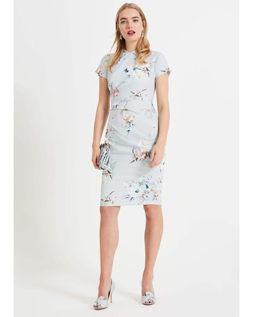 phase eight peony floral printed dress