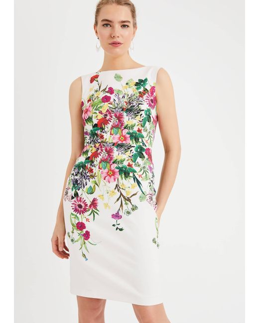 phase eight kristen floral print dress