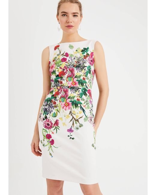 phase eight kristen floral dress