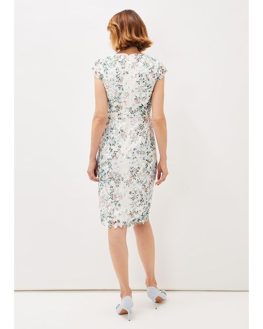 Phase Eight White Franky Floral Lace Fitted Dress