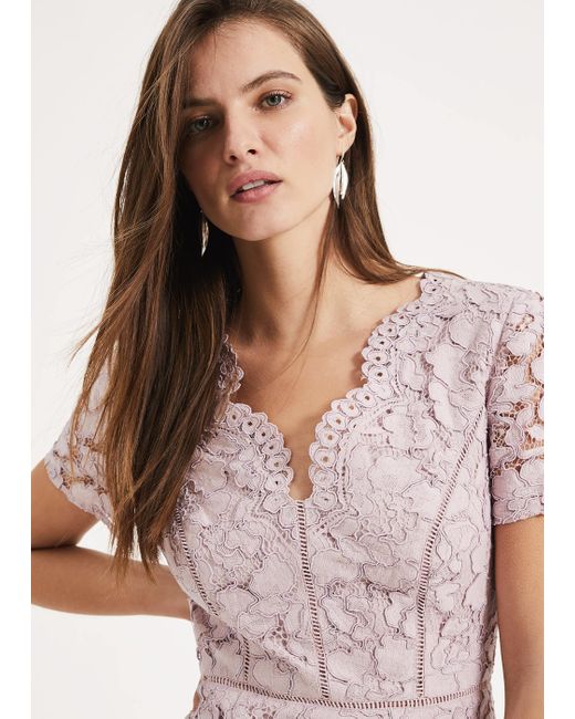 phase eight trinity corded lace dress
