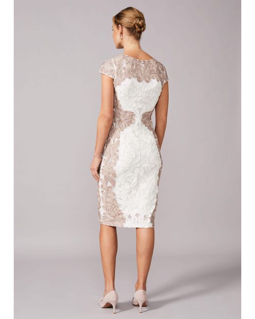 Phase Eight White Nori Tapework Lace Fitted Dress