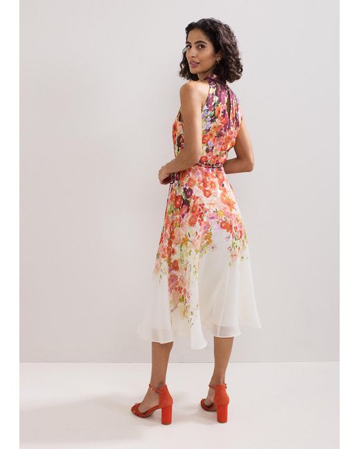 Phase Eight White Bethany Floral Print Dress