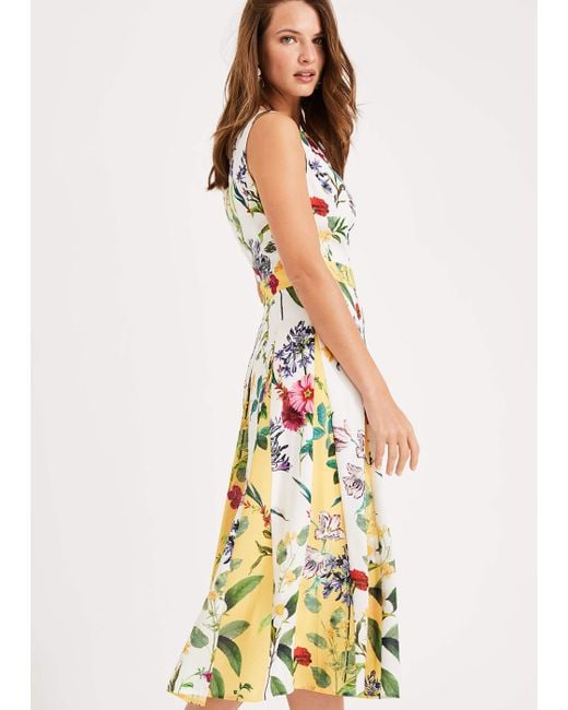 phase eight trudy dress