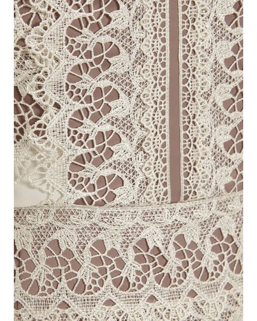 phase eight ally dress