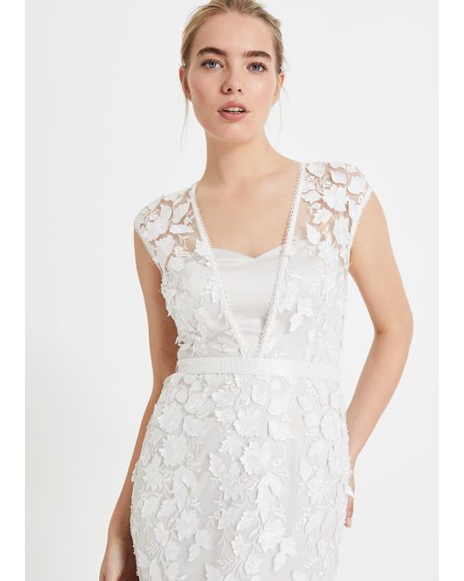 phase eight peony dress