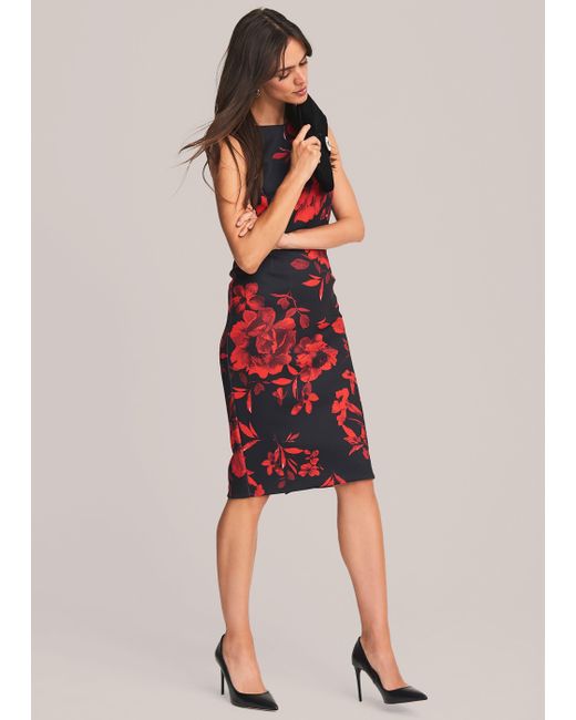 phase eight scuba dress