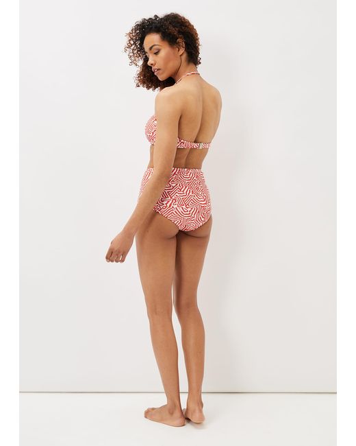 Phase Eight Multicolor Isabelle Zebra Bikini Top