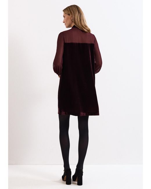 Phase Eight Red Vinnie Velvet Pussy Bow Dress