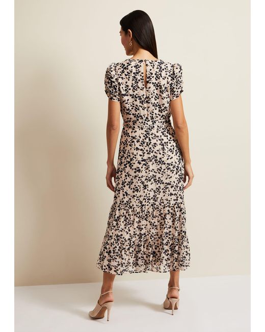 Phase Eight Natural Amy Floral Midi Dress