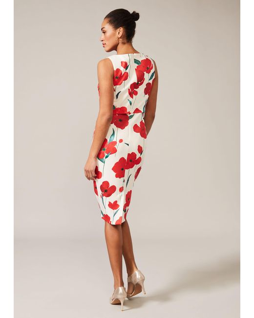 Phase Eight Ivory And Red Fire Lou-poppy Scuba Dress