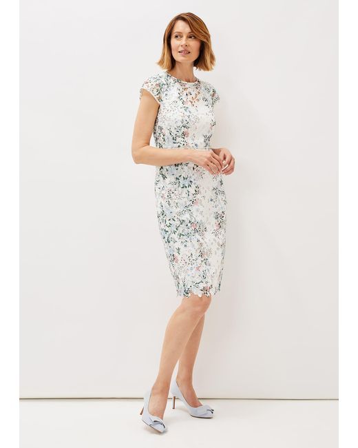 Phase Eight White Franky Floral Lace Fitted Dress