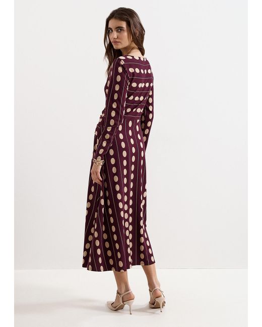 Phase Eight Red Petite Eugenie Burgandy Spot Jersey Midi Dress