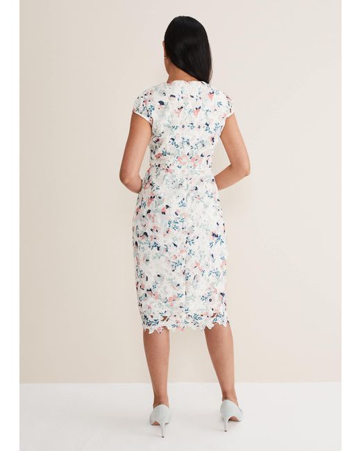 Phase Eight White Petite Franky Floral Lace Dress