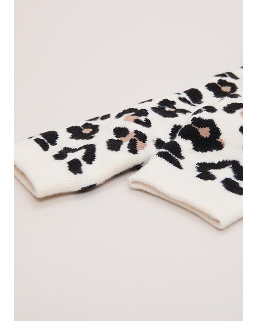 Phase Eight White Leopard Print Knitted Socks