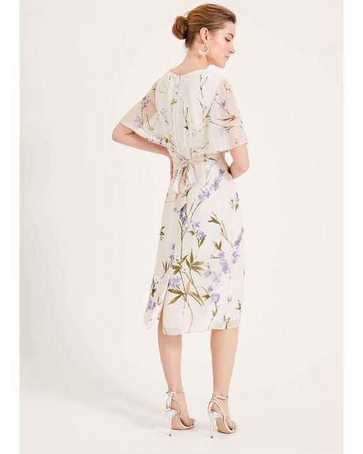 phase eight eden dress