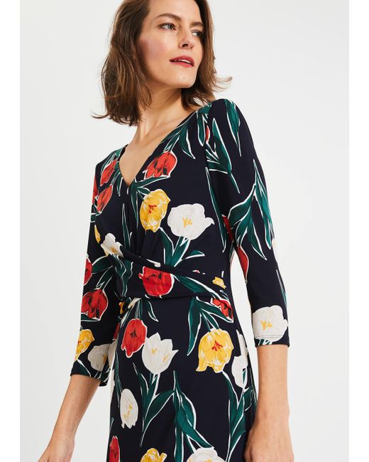 phase eight nicole printed dress