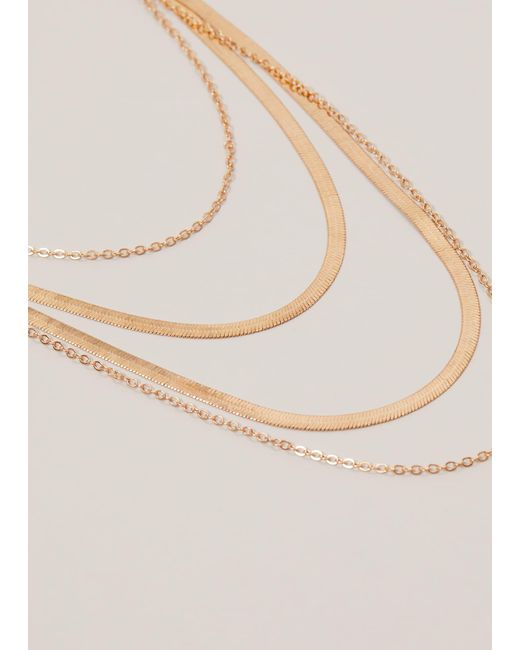Phase Eight White 's Gold Layered Necklace